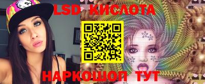 ПСИЛОЦИБИНОВЫЕ ГРИБЫ Донской