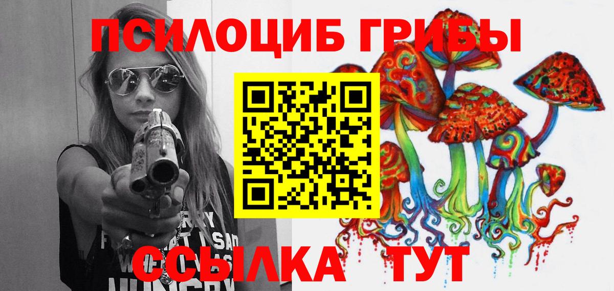 Псилоцибиновые грибы Psilocybe  где купить наркотик  Касимов  Вход с VPN 