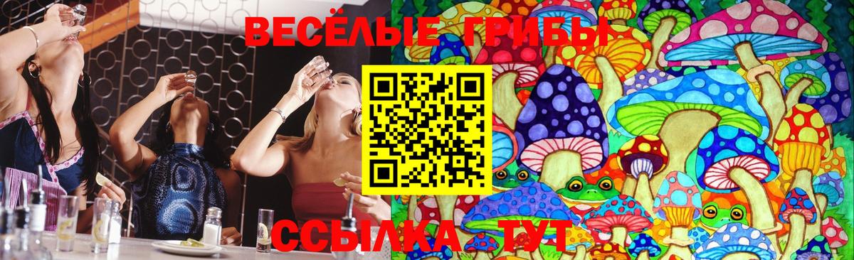 Галлюциногенные грибы ЛСД Касимов